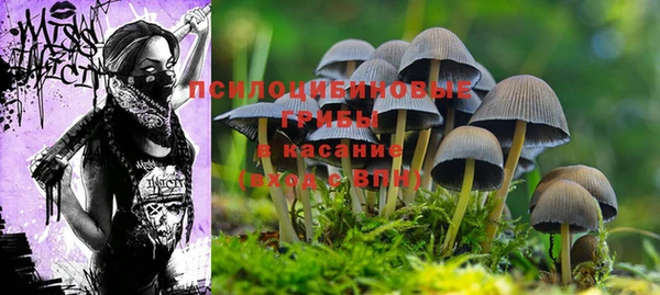 apvp Лихославль