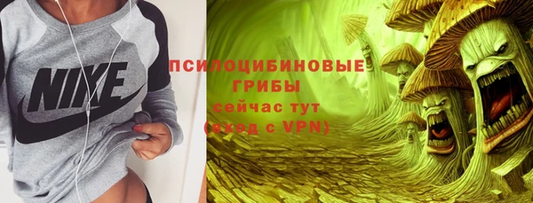 apvp Лихославль