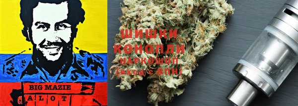 apvp Лихославль